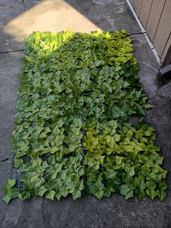 Indoors Or Outdoor Decoration