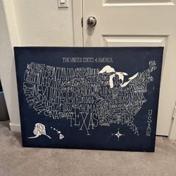 USA Wall Canvas