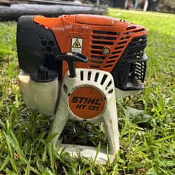 STIHL Pole Saw