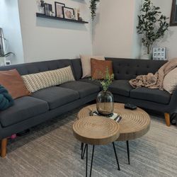 Modern Sectional Couch