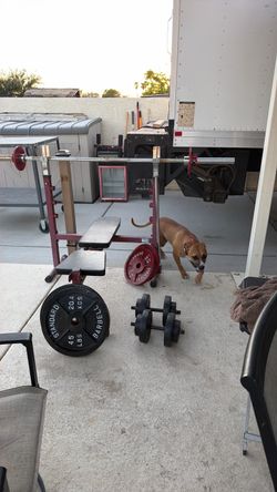 Bench press