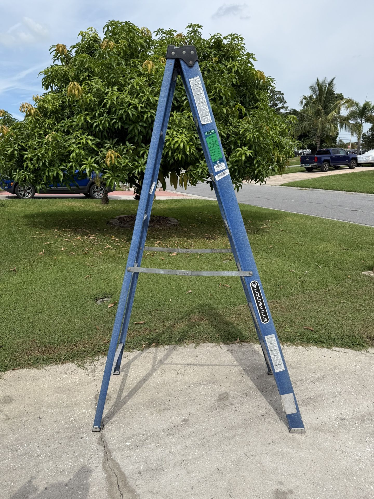 7ft Ladder