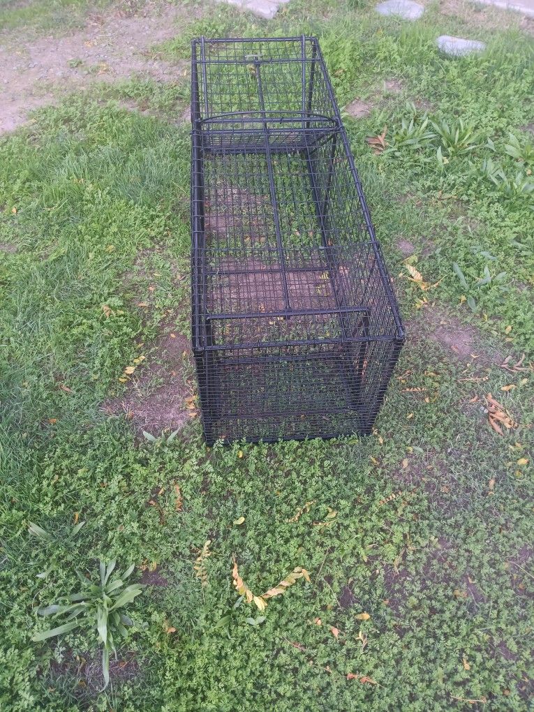 LIVE ANIMAL TRAP