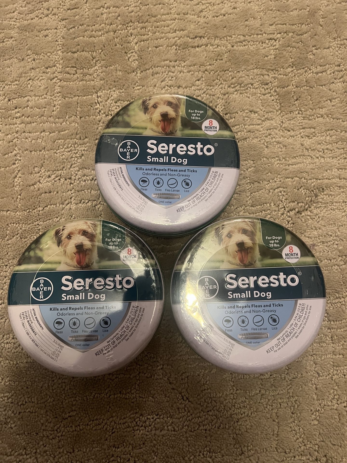 Collar For Small Dog