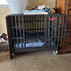 Large Proselect Kennel
