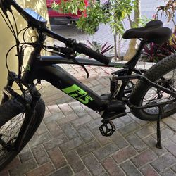 Full Suspension Center Drive Electric Full Blown Mountain Bike 