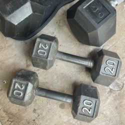 20lbs Dumbbells Pair