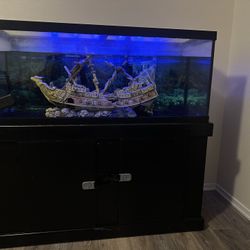 75 Gallon Fish Tank 