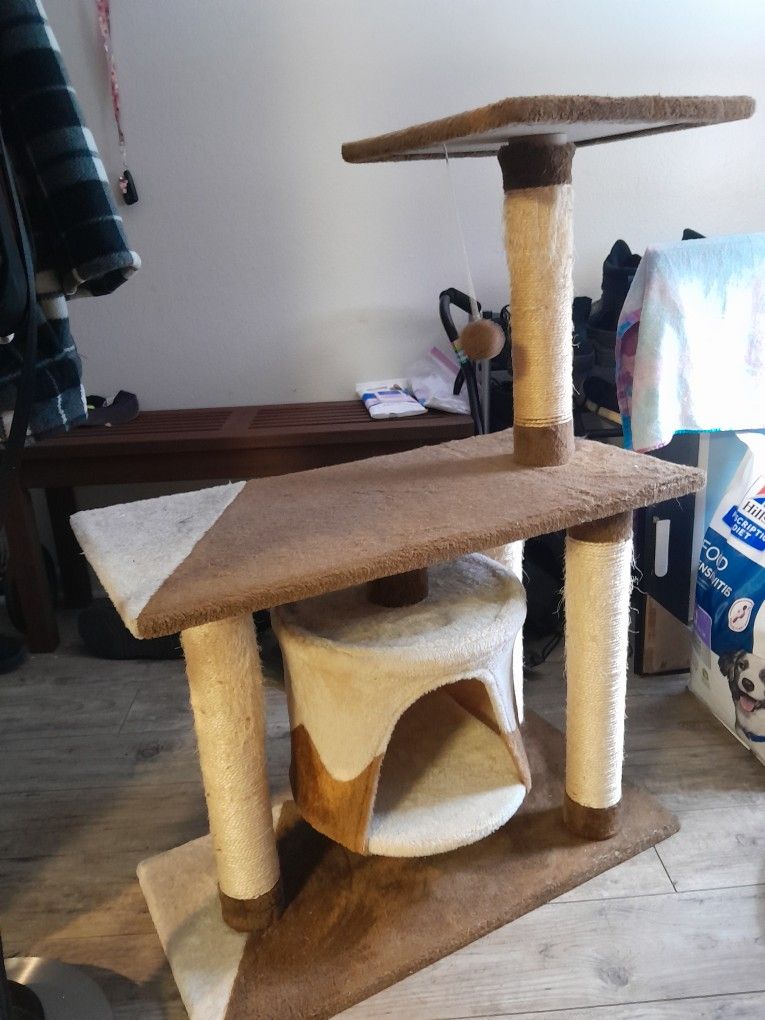 old cat tree