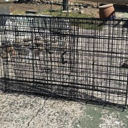 Big Dog Crate