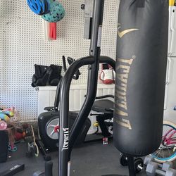 Everlast Punching Bag 