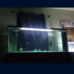 120 GALLON FISH TANK 