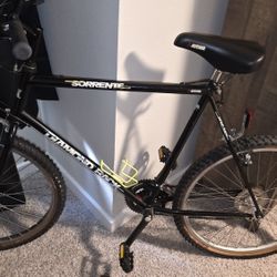 Vintage 1992 Diamondback Sorrento 26 XL MTB Bike | 21 Speed Commuter Conversion