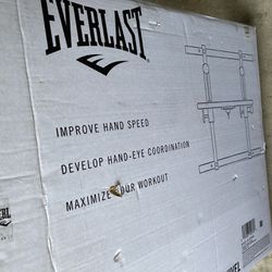 Everlast Speed Bag 