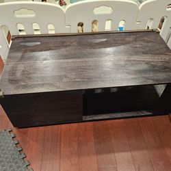 Living Room Coffee Table / Storage Console