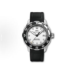 IWC Ocean Timepiece Series Automatic Mechanical Movement Date Display Men's Watch(156)35