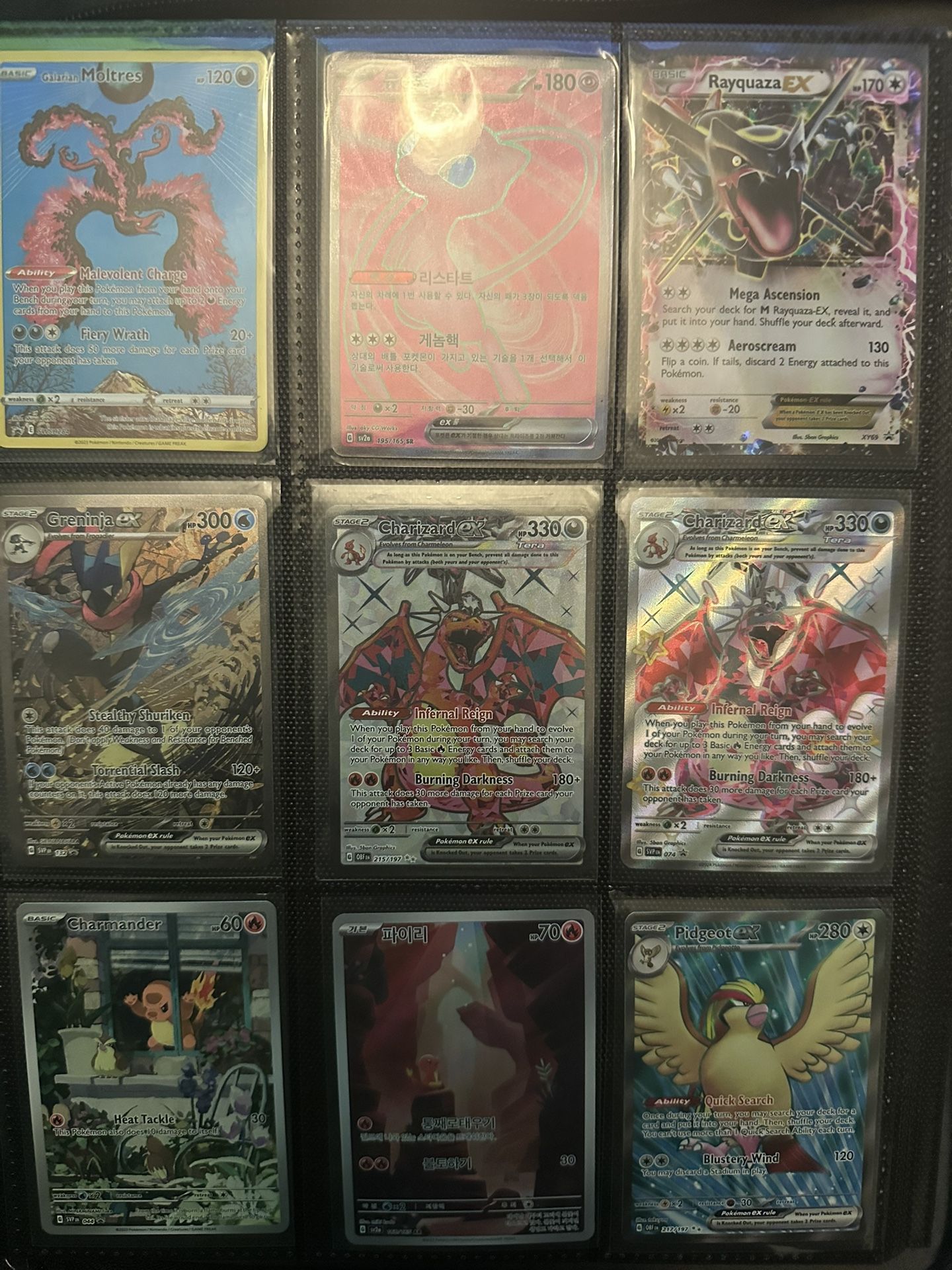 entire Pokémon Collection