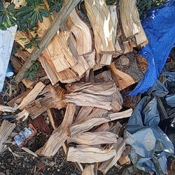 Firewood