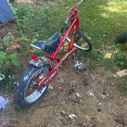 Collectors Bike