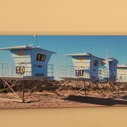36 X 12 Canvas Print 