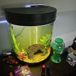 Dome Shaped Fish Tank