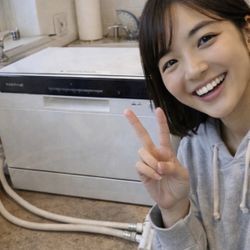 Counter Top Dishwasher Faberware 