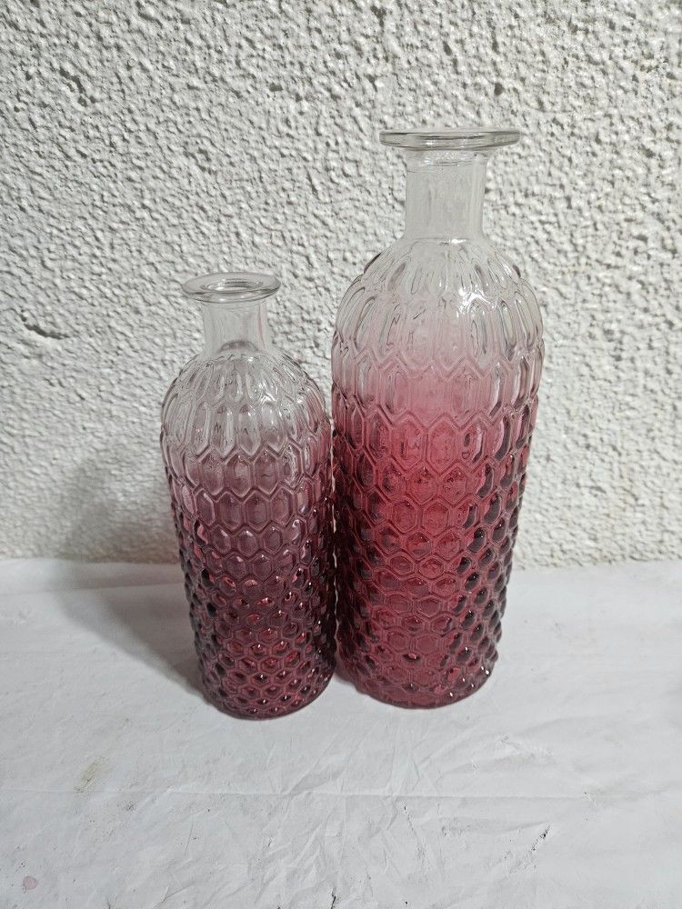 💖 Raspberry Ombre Glass Vases (Set of 2)!