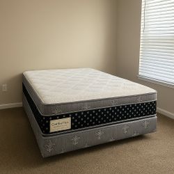 🛏️ Sleep Better Tonight — Euro Top Mattress + Box Spring Available if you Needed- Delivery Available Today