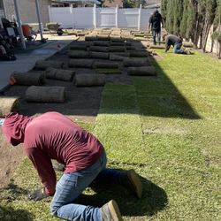 ///—SOD-///INSTALL//-