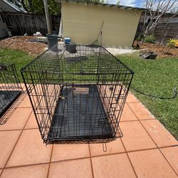 Cages For sale
