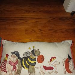 Adorable Decorative Pillow With Dog In Costumes 