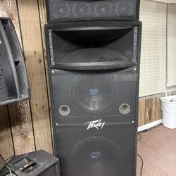 4 Peavey Speakers 