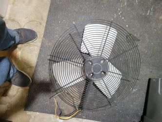 Electric fan
