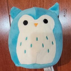 Rare Teal Owl Squishmallow