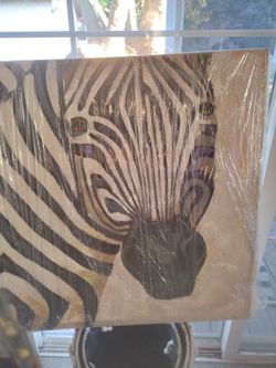 Zebra Canvas Painting  31 And 1/4 By 31 And 1/4