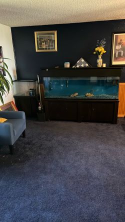 Aquarium 110 Gallon $600.00