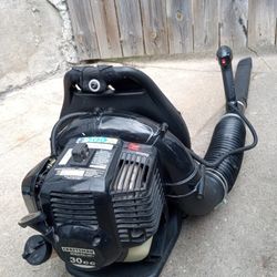 Craftsman 30cc BackPack Blower (205 MPH Airspeed)