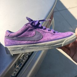 Nike SB Bruin