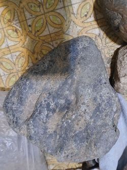 Fossil