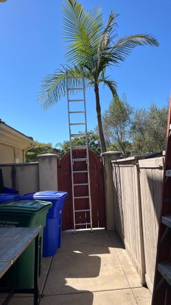 16’ high ladder