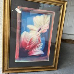 Framed Floral Picture