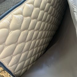 Twin mattress & boxsprings
