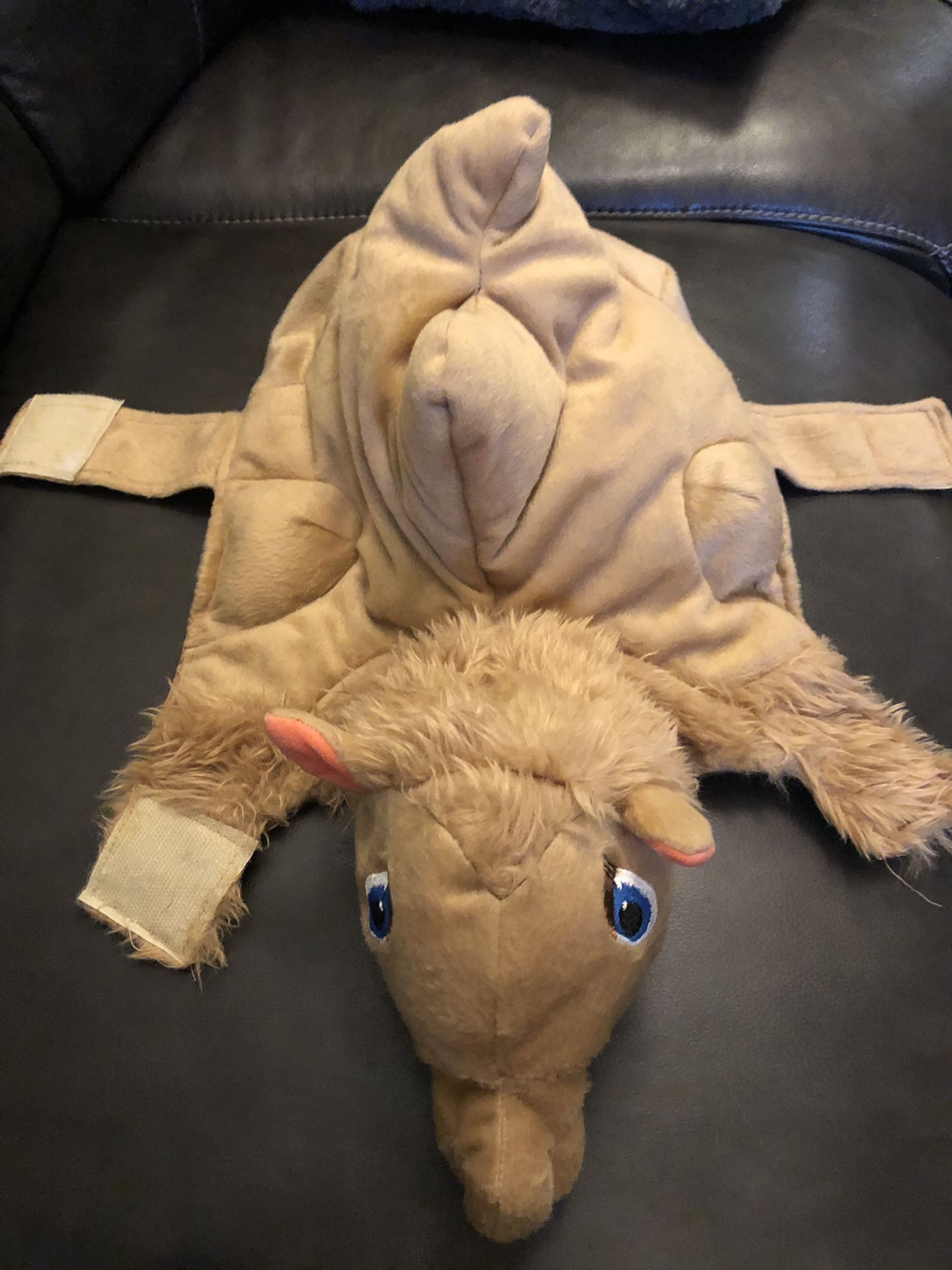 Dog Costume - Camel - size XS