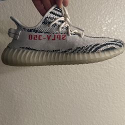 13 M Zebra Yeezys