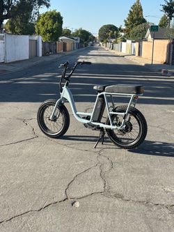 Custom rad runner 2 e bike