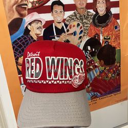 Detroit red wings hat