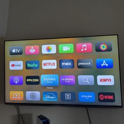 LG 65” 4K Smart TV (webOS) – 60fps
