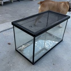 10 gallon reptile tank