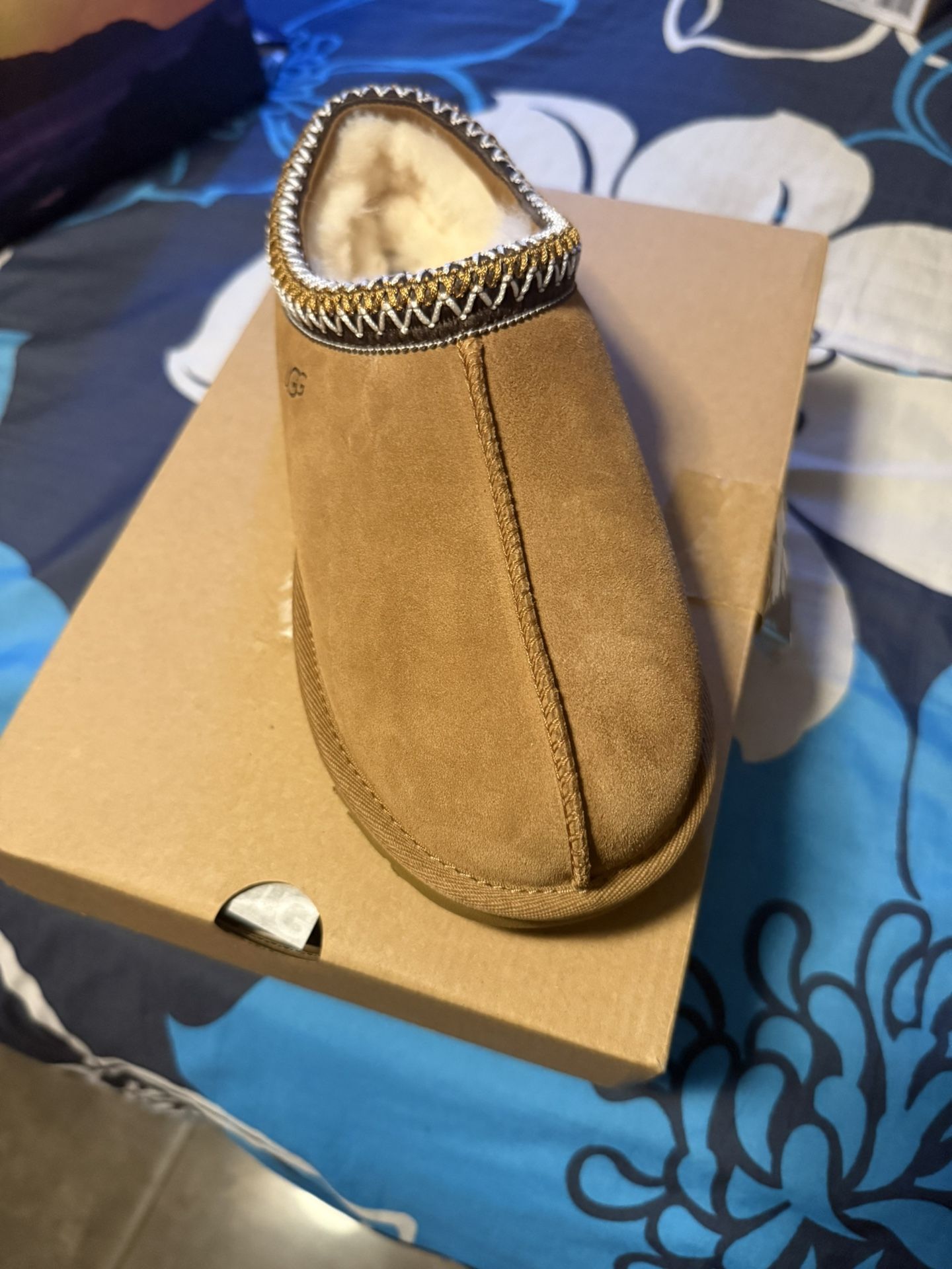 Uggs Tasman