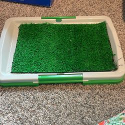 Dog pee pad
